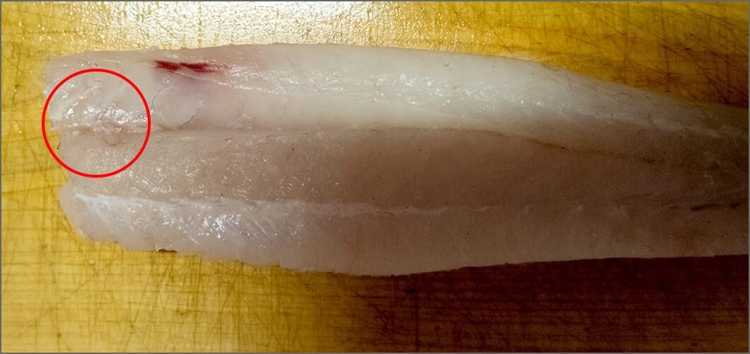 背中にある筋をとる