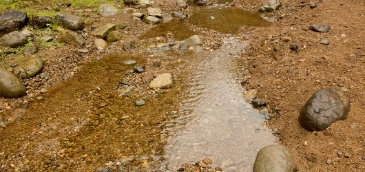 logw_title_7395_016
