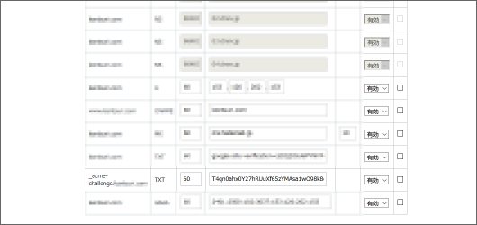 DNS認証はテキストをレコードに追記する
