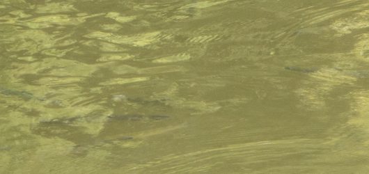 logw_title_7488_007