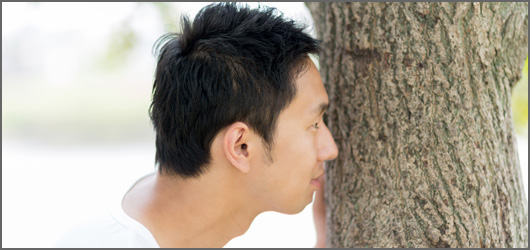 logw_title_look