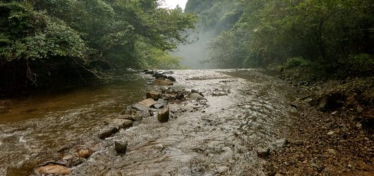 logw_title_7395_015